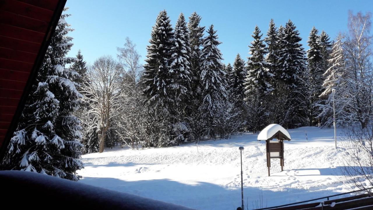 Apartmán Bile Labe